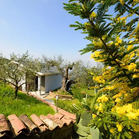 Villa Lauri With Private Pool Laureana Cilento